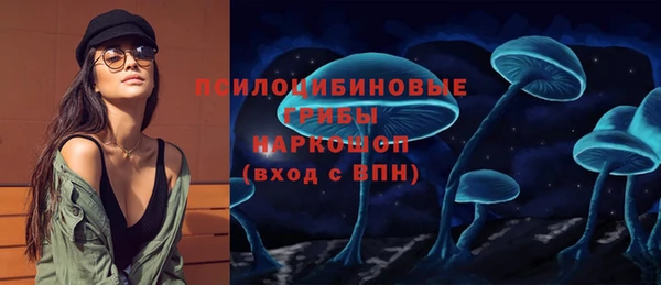 дживик Заволжск