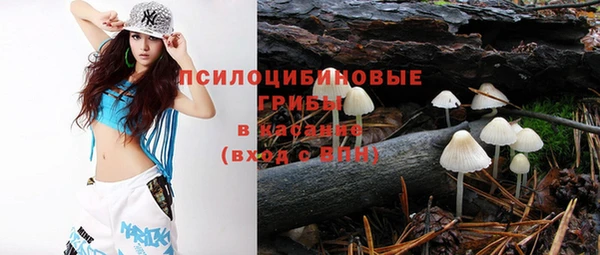 твердый Богородицк