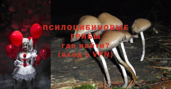 MDMA Богданович