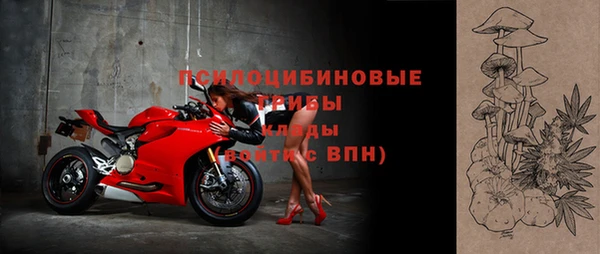твердый Богородицк