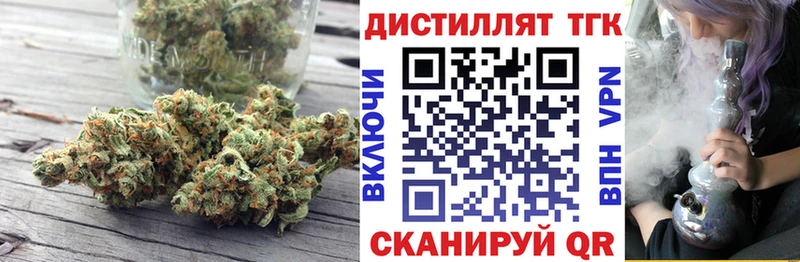 где продают   Онега  ТГК концентрат 