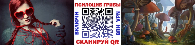 Псилоцибиновые грибы GOLDEN TEACHER  Онега 