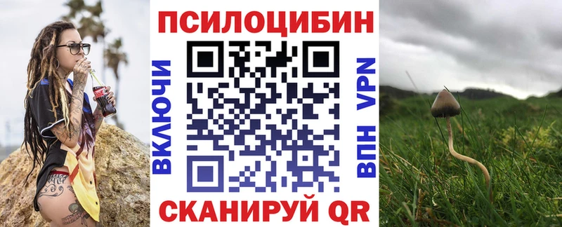 Псилоцибиновые грибы Psilocybine cubensis Онега